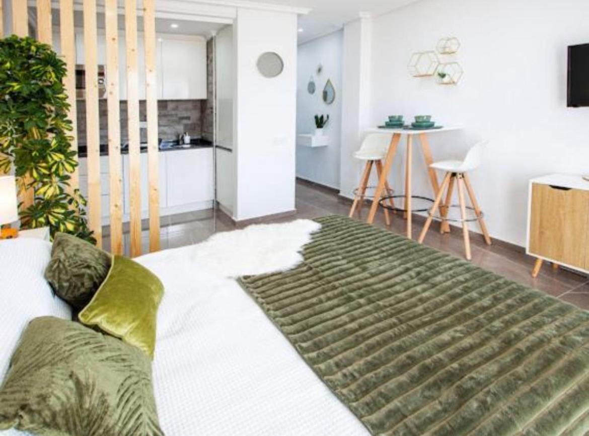Ole Studio Apartment Rojales Εξωτερικό φωτογραφία